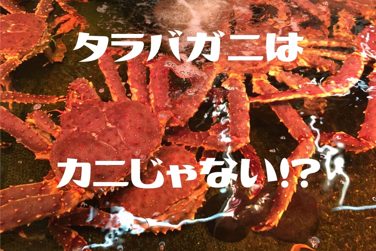 タラバガニはカニではない 雑学ゆるコラム